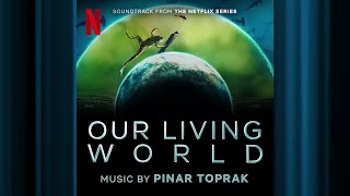 An Eager Student | Our Living World | Official Soundtrack | Netflix