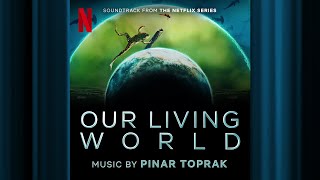 Download lagu An Eager Student | Our Living World |  Soundtrack | Netflix