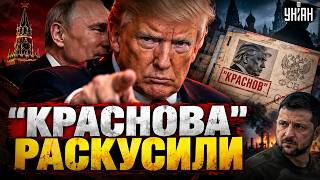 ПОЛУЧИЛ ПРИКАЗ ИЗ МОСКВЫ?! Агент "КРАСНОВ" в деле — снова ОБВИНИЛ ЗЕЛЕНСКОГО