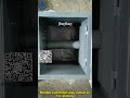 Screw Conveyor Full Machine Display | Smooth Conveying & Custom Design