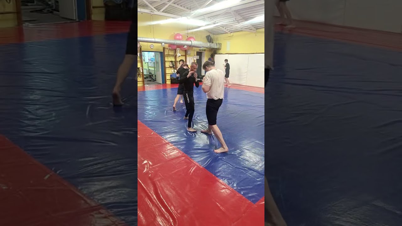 MMA Training
