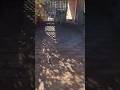 Sidewalk Cleaning |Scraping | Lawn Edging ✨ #shorts #satisfying #asmr