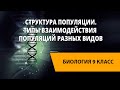 Структура популяции. Типы взаимодействия популяций разных видов