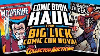 Comic Book Haul from Big Lick Comic Con NOVA!