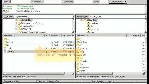 Filezilla Transferring files By Host4Go Tutorials