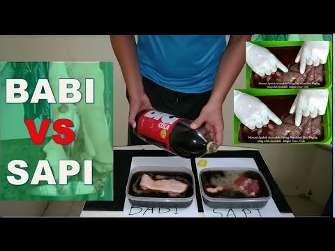 Video: Bagaimana Hati Sapi Berbeda Dari Hati Babi?