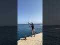 Рыбалка в Египте 🎣