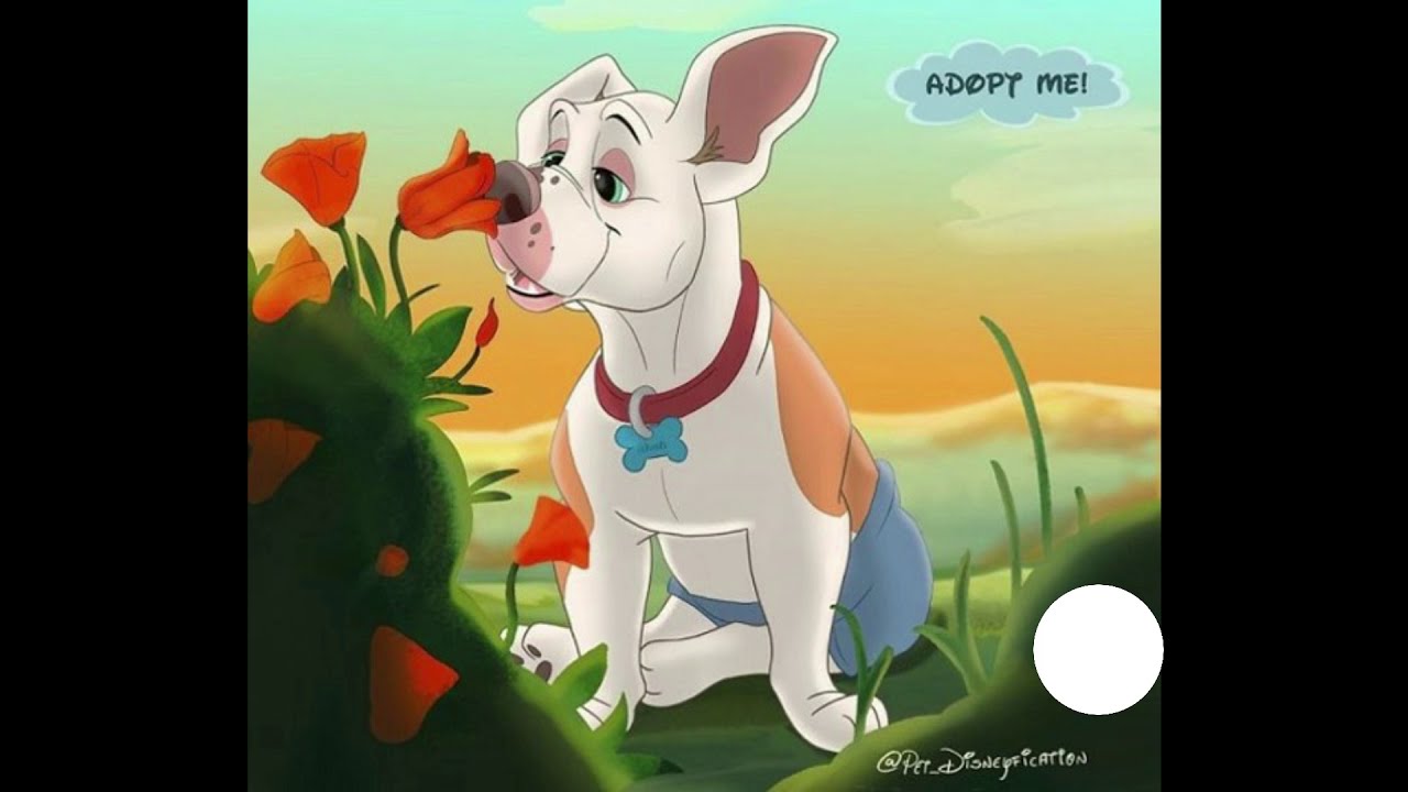 Dibujando un perro versión Disney | La Diversión de Editar