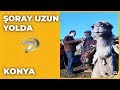Konya - Şoray Uzun Yolda