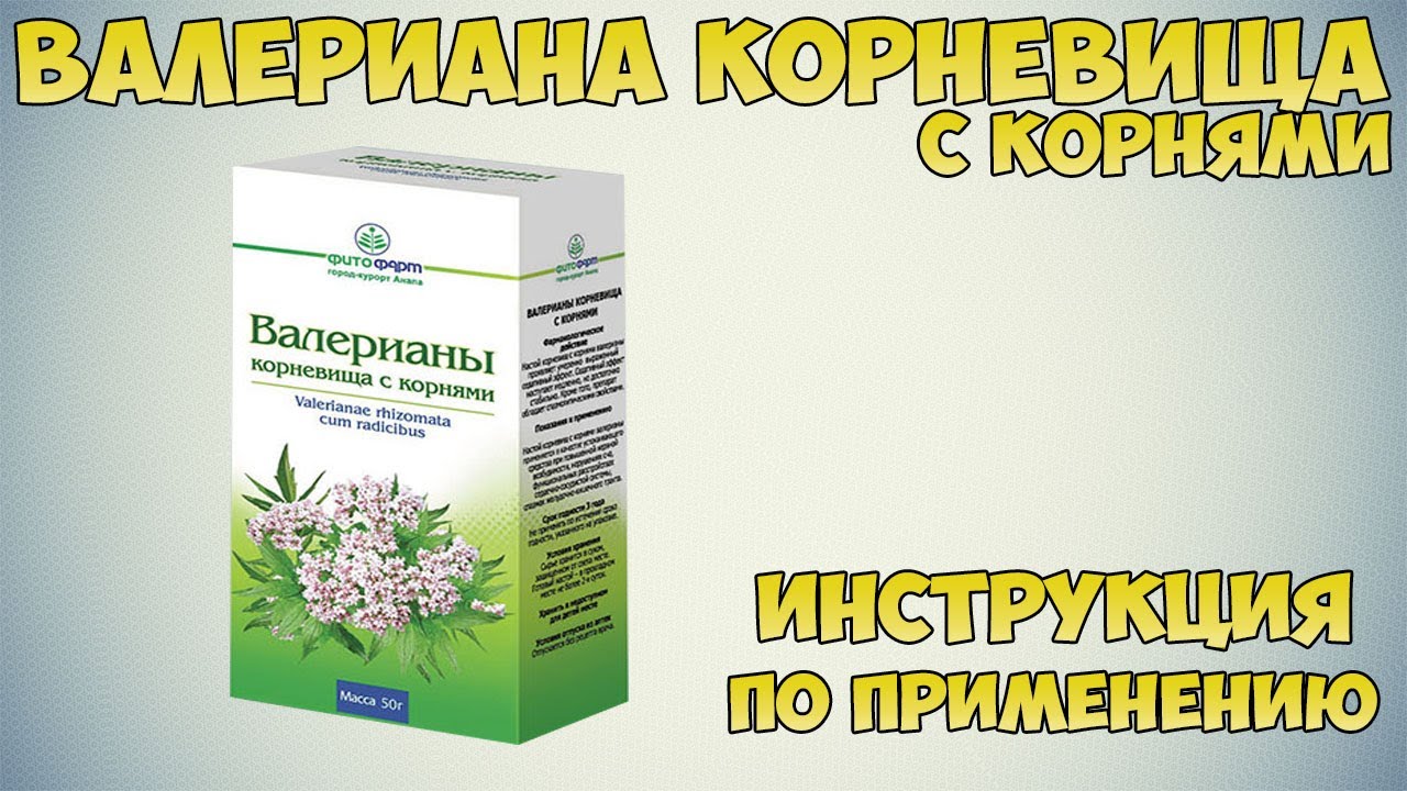 Валериана корневища с корнями инструкция по применению препарата: Показания, как применять, обзор