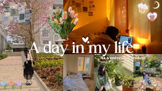 Bangalore diaries | A day in my life | Vlog, Food and friends | Reva uni