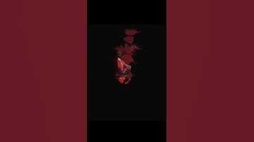 Dev log #60 - Checkpoint system death reload - #solodev #gamedevblog #sologamedev