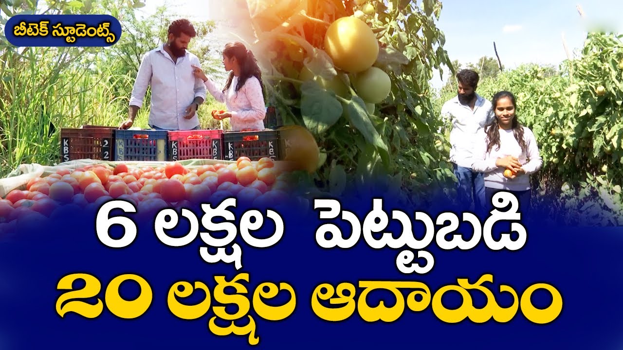 వ్యవసాయంలో రాణిస్తున్న యువజంట | A Young Couple Excelling in Agriculture | Karimireddygaripalle