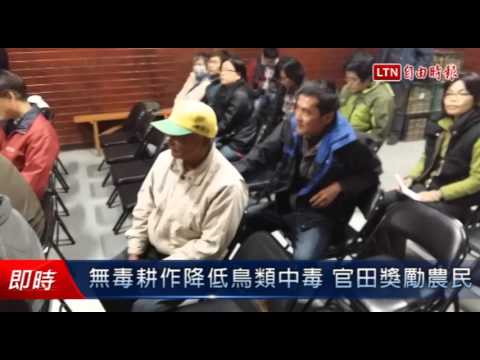 無毒耕作降低鳥類中毒 官田獎勵農民 - 無毒耕作降低鳥類中毒 官田獎勵農民