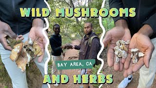 Where To Get Wild Mushrooms and Herbs in the Bay Area? Ft. Rob Lopez | VICTOR BOWMAN | VLOG 2