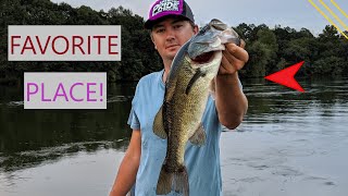 I HATE TO LEAVE THIS RIVER!  Alabama Bass fishing in July with spro frogs