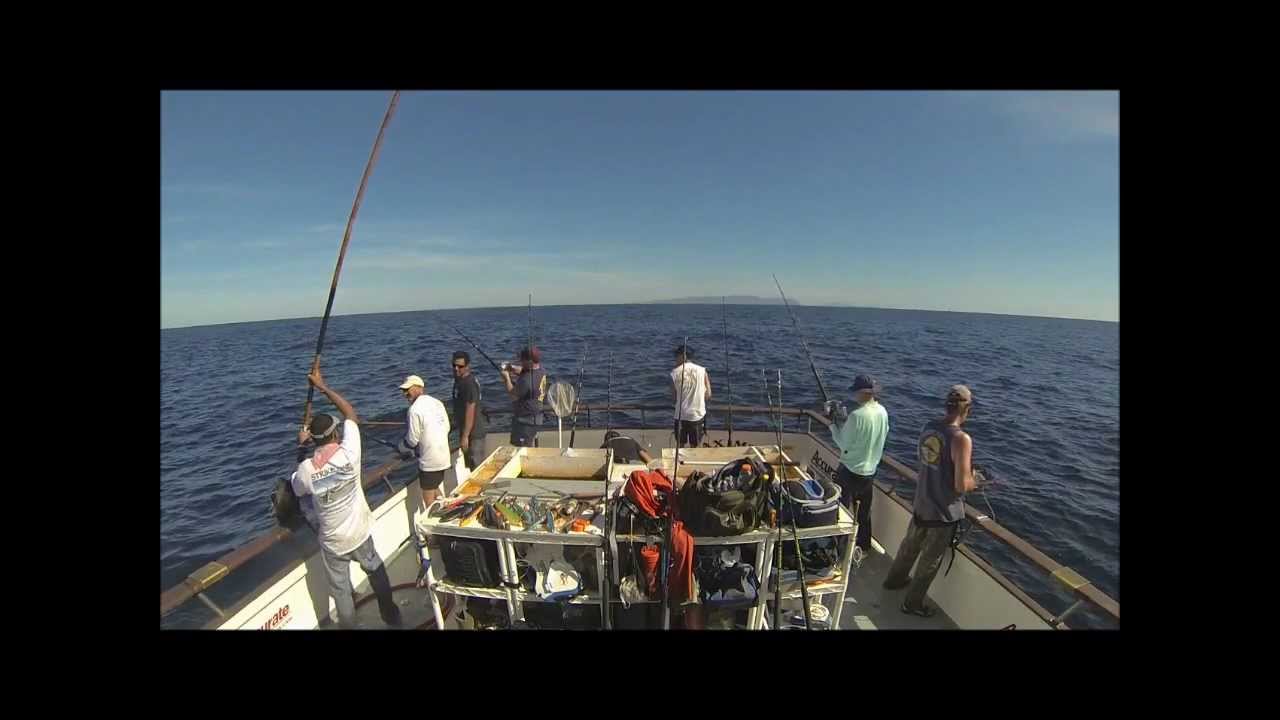 Maximus sportFishing Puerto Vallarta 1913 YouTube