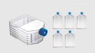 Falcon Multi Flask pour Culture Cellulaire