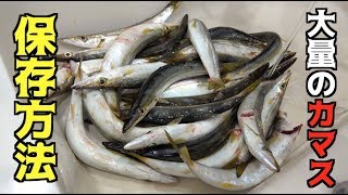 大量のカマスを最大限に美味しく食べる方法！