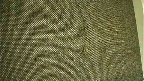 VLF Whistlers,  very clear audio signals