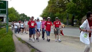 Co-workers at the 2010 Walk for Hunger
