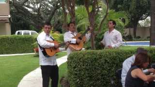 Trío cuernavaca morelos df contrata trío en tus fiestas
