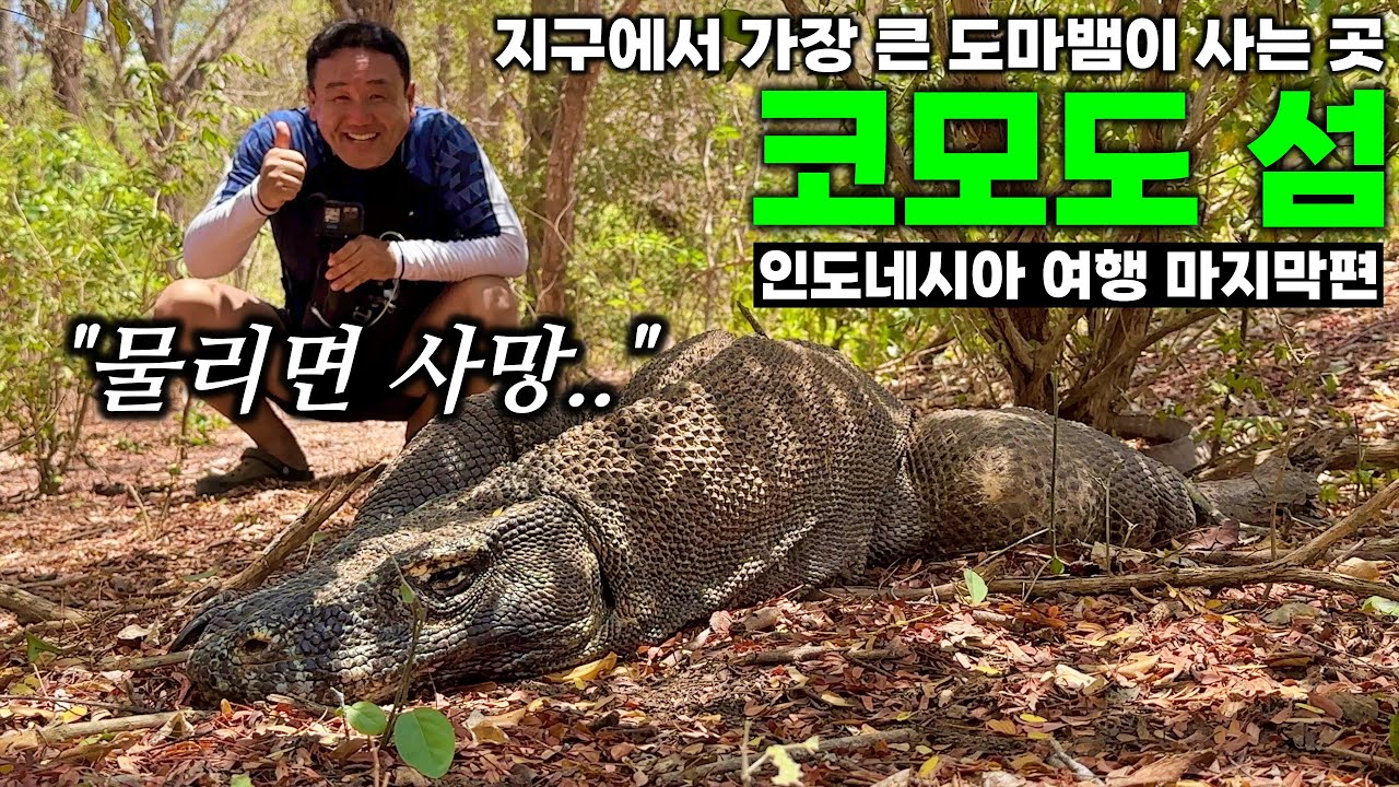 미지의 섬, 코모도 1일 투어 | 귀국기 - 라부안 바조 | 인도네시아 여행[9]