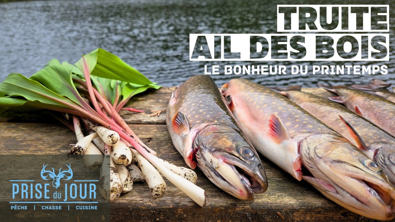 Pêche à la truite mouchetée et cueillette d'ail des bois entre bons amis!