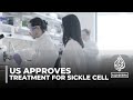 Gene-editing therapy: US approves treatment for sickle cell disease