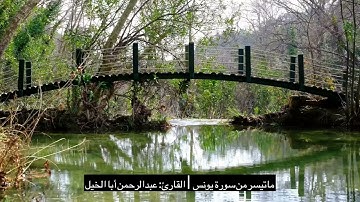 سورة يونس ﴿وَاللَّهُ يَدعو إِلى دارِ السَّلامِ وَيَهدي مَن يَشاءُ…﴾ | القارئ: عبدالرحمن أبا الخيل