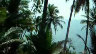 Goa beach property hollant 102.wmv Goa beach property hollant 102.wmv