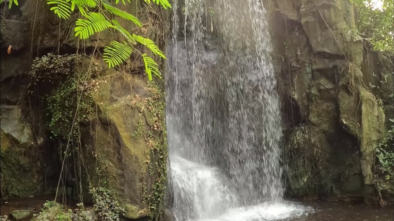 Огляд зоопарку у Недірландах KONINKLIJKE BURGERS' ZOO