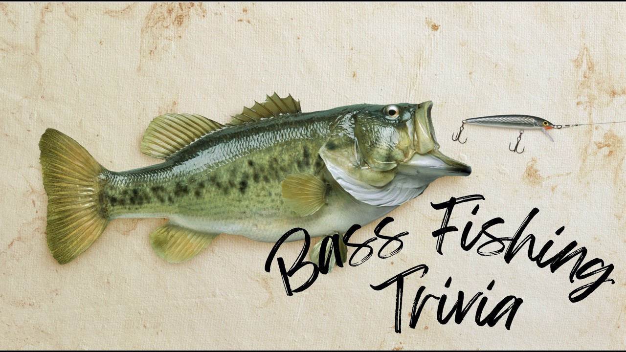 Can You Reel In the Right Answer? 20 min Bass Fishing Trivia Challenge