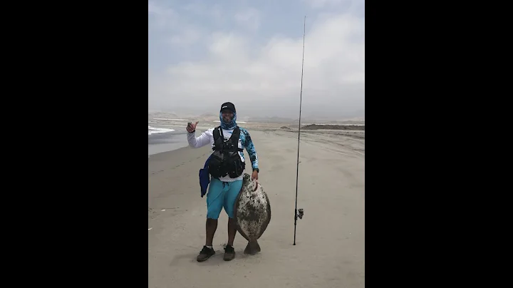 #1 captura de lenguado de 12.5 kg en el Norte chico de Peru