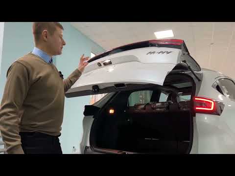 Обзор Honda M-NV