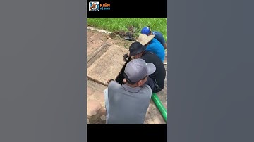 Kiến Vệ Sinh chuyên thông tắc cống hút bể phốt giá tốt uy tín chuyên nghiệp