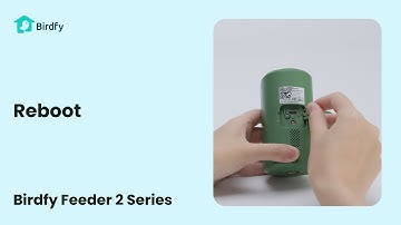 Reboot - Birdfy Feeder 2 Series Tutorial