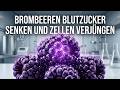 Brombeeren Heilkraft - Blutzucker Natürlich Senken Und Zellen Verjüngen