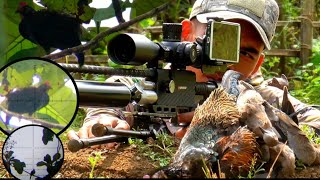 BERBURU AYAM HUTAN,, MENEGANGKAN MASIH PAGI UDAH KEJAR-KEJARAN SAMA JAGO MUDA