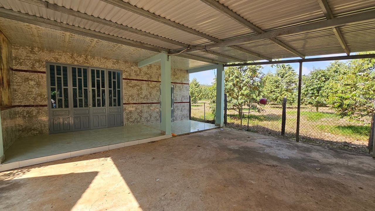 NHÀ VƯỜN SẦU RIÊNG ĐỦ LOẠI TRÁI CÂY GẦN QL 13 600 MÉT 31X71X58=2103,9M2 GIÁ 890 TRIỆU BAO SỔ 