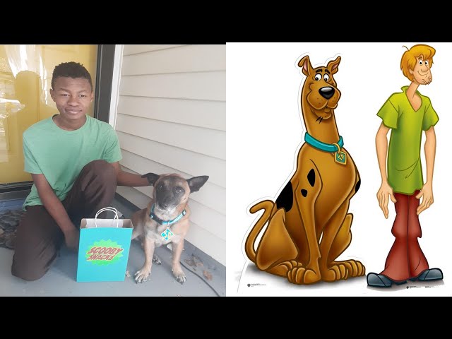 Easy DIY Scooby Doo Dog and Owner Halloween Costume - Reesa Rei