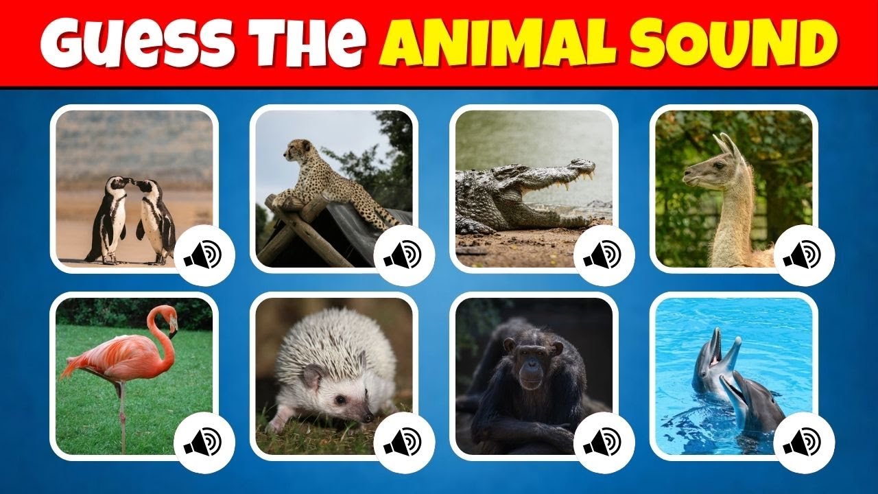 Guess the 60 Animal Sounds 🐘🔊🐒 | Animal Sounds for Kids | Quiz Bunnies