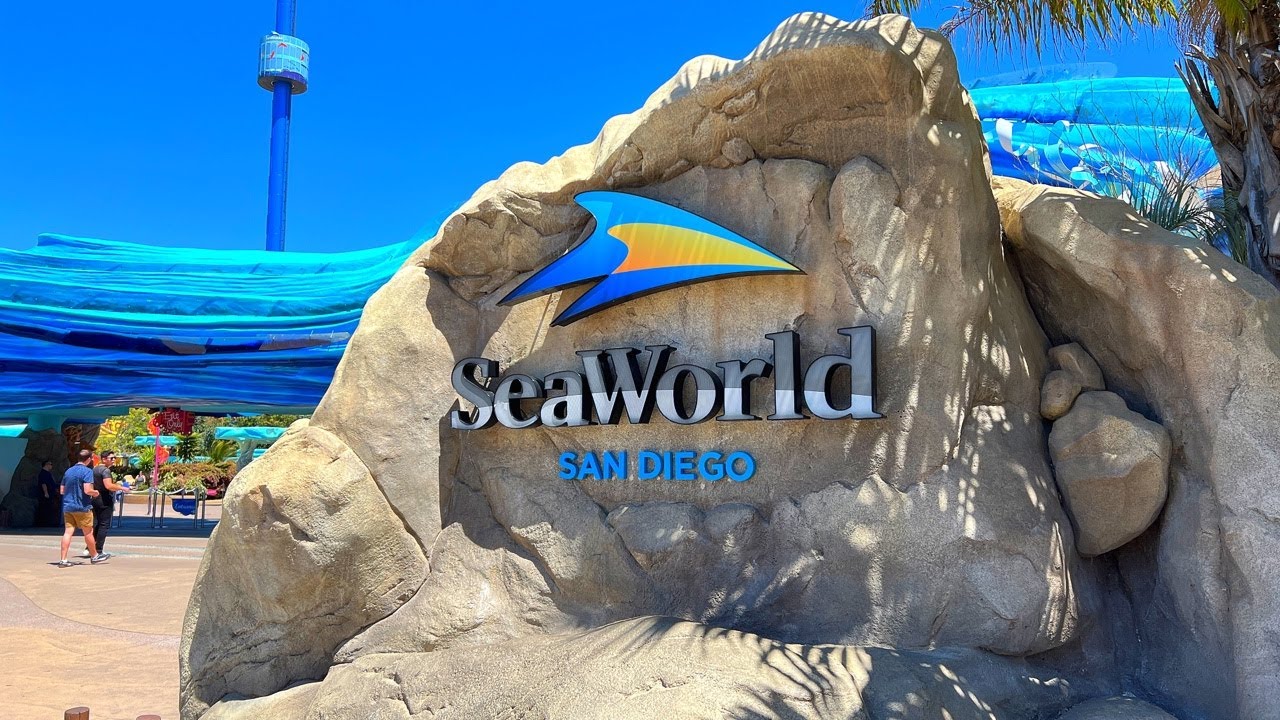🔴 LIVE Friday Afternoon At Seaworld San Diego! Dining With Orcas, Shows