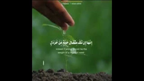 يأت بها الله أن الله لطيف خبير القارئ إسلام صبحي