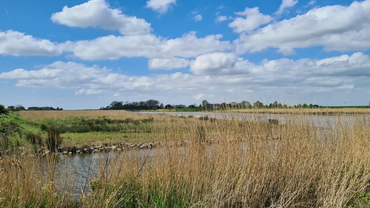 Vlog 130   #1   Snaren gebroken  en krantenwijk