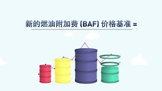 APL IMO2020 Video (Chinese Version)