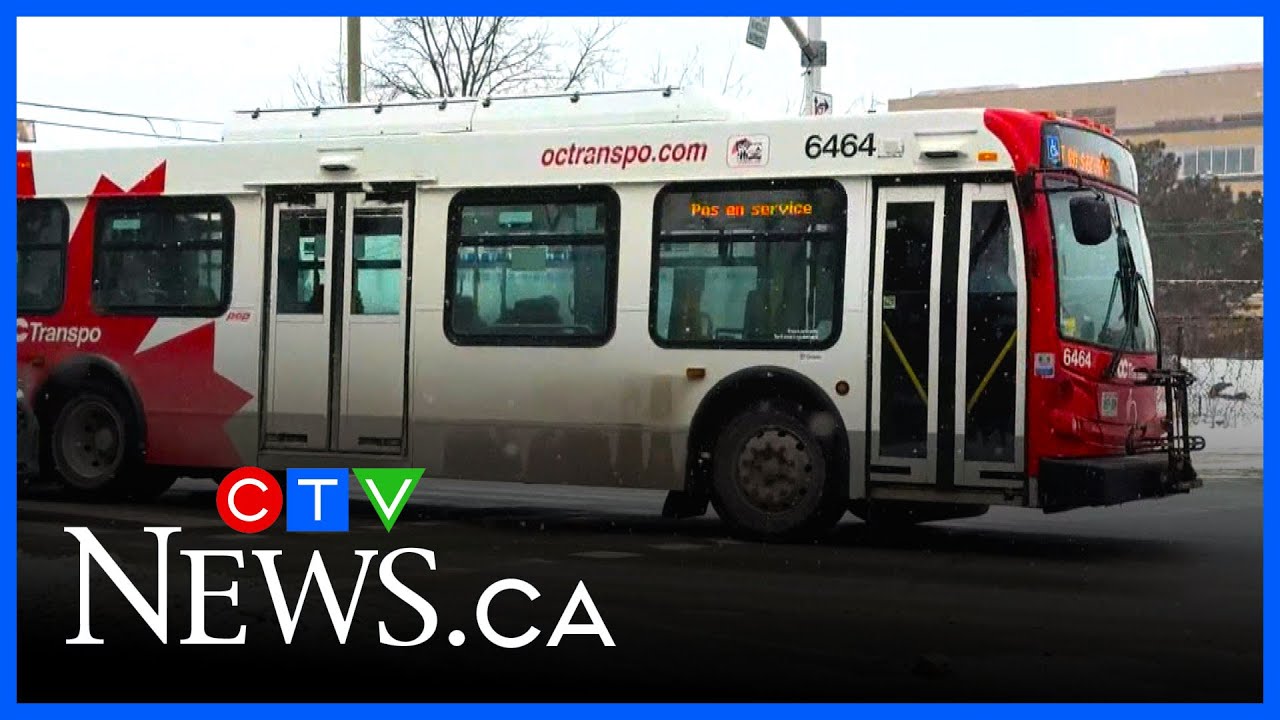 OC Transpo service improving after trip cancellations - YouTube