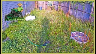 Tall Weeds & Overgrown Fences As Far As The Eyes Can See | Satisfying Mowing