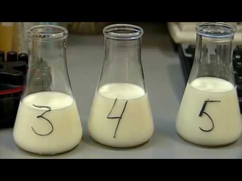 Что нашла независимая экспертиза в молоке ТМ Ополье и других девяти крупных производителей