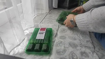 Silent Unboxing - Sustainability Box PLNTS